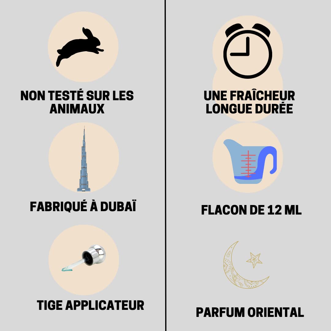 AYAT PERFUMES – Extrait de Parfum 12ml | Jolie Bouteille Dans Une Boîte Élégante | Attar Unisexe Sans Alcool | Huile Parfumée Longue Durée | Senteur Arabian Fabriqué Conçu à Dubaï (Musk Ehsaas)