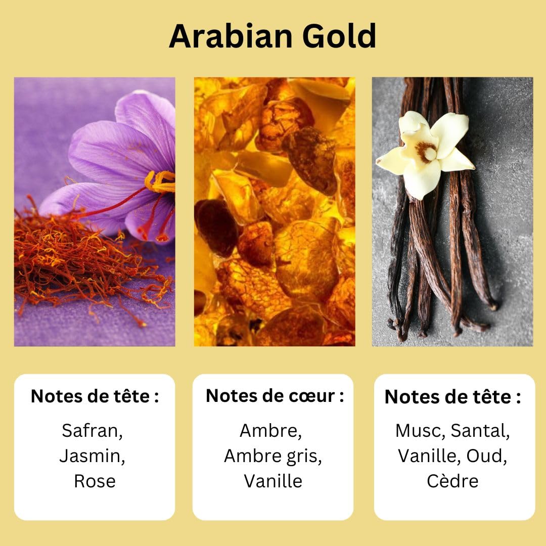 AYAT PERFUMES – Extrait de Parfum 12ml | Jolie Bouteille Dans Une Boîte Élégante | Attar Unisexe Sans Alcool | Huile Parfumée Longue Durée | Senteur Arabian Fabriqué Conçu à Dubaï (Musk Ehsaas)