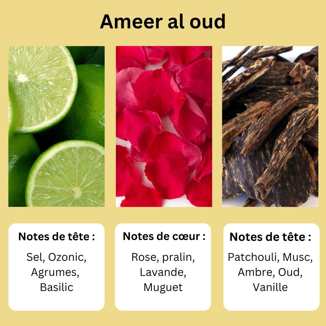 AYAT PERFUMES – Extrait de Parfum 12ml | Jolie Bouteille Dans Une Boîte Élégante | Attar Unisexe Sans Alcool | Huile Parfumée Longue Durée | Senteur Arabian Fabriqué Conçu à Dubaï (Musk Ehsaas)