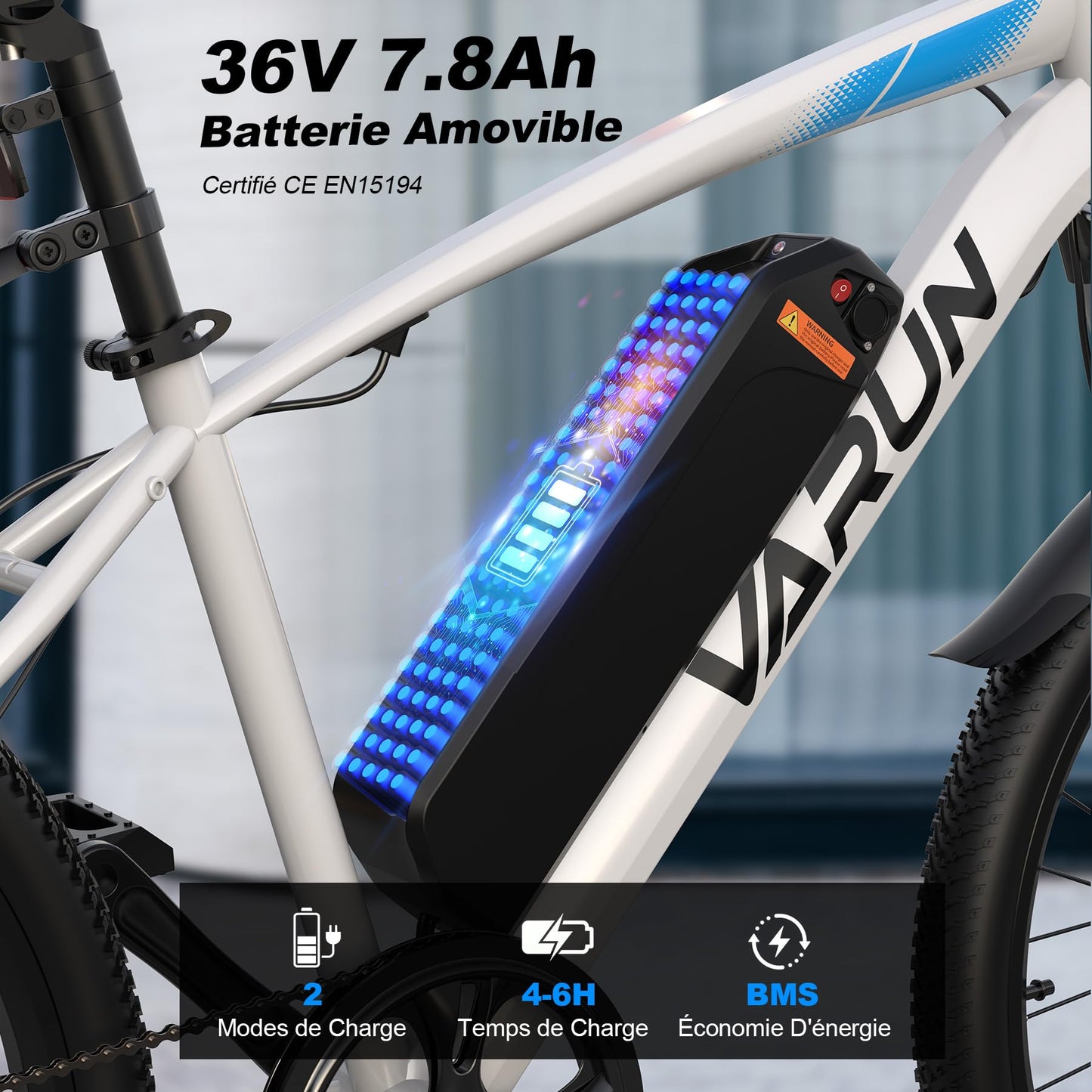 VARUN Velo Electrique, 24"/26"/27.5" VTT Électrique avec 48V/36V Batterie, Jusqu'à 55-100KM, 250W Moteur, Vélo Électrique Homme Femme avec 21/1 Vitesses, Écran LCD, Ville E-Bike avec Pédalage Assisté