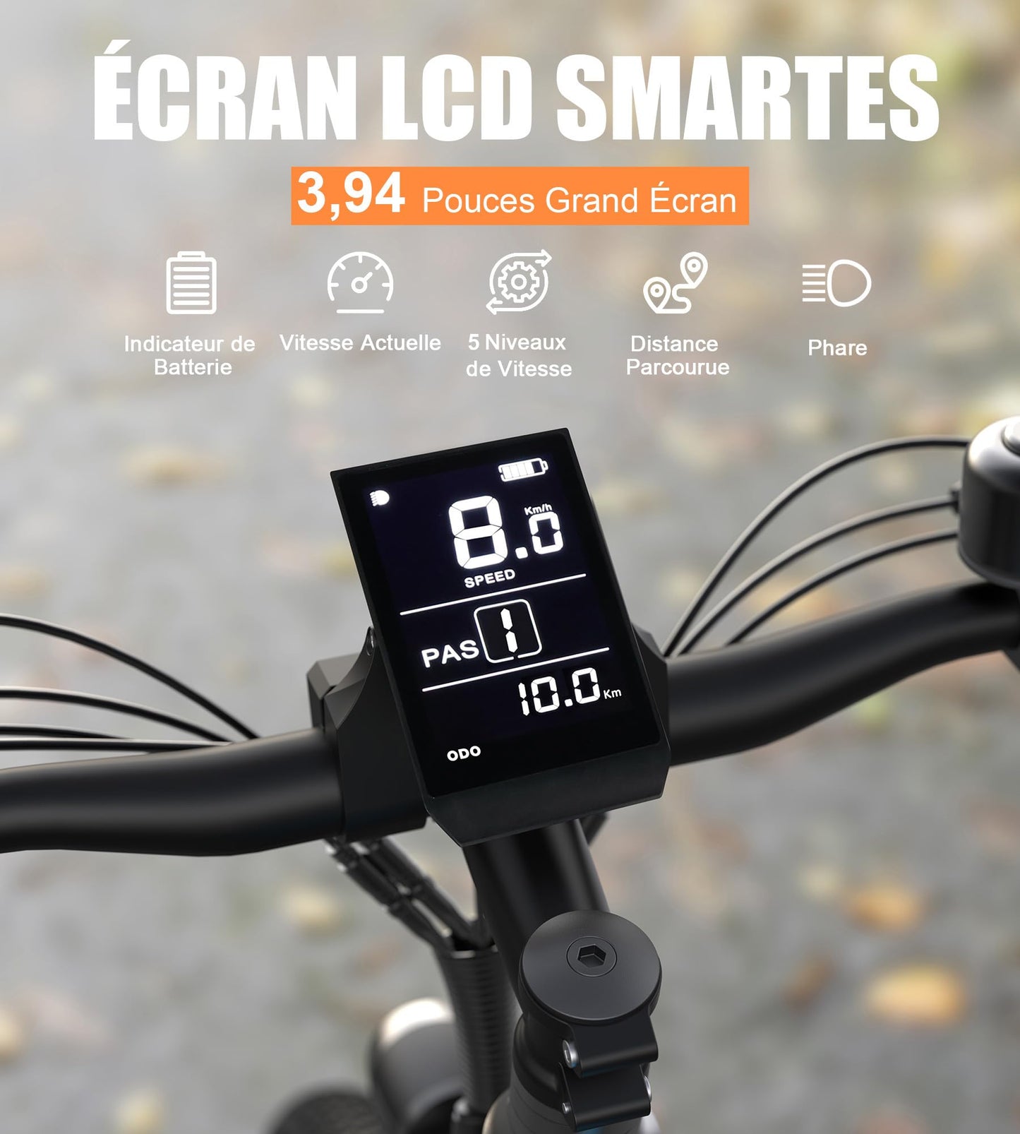 VARUN Velo Electrique, 24"/26"/27.5" VTT Électrique avec 48V/36V Batterie, Jusqu'à 55-100KM, 250W Moteur, Vélo Électrique Homme Femme avec 21/1 Vitesses, Écran LCD, Ville E-Bike avec Pédalage Assisté