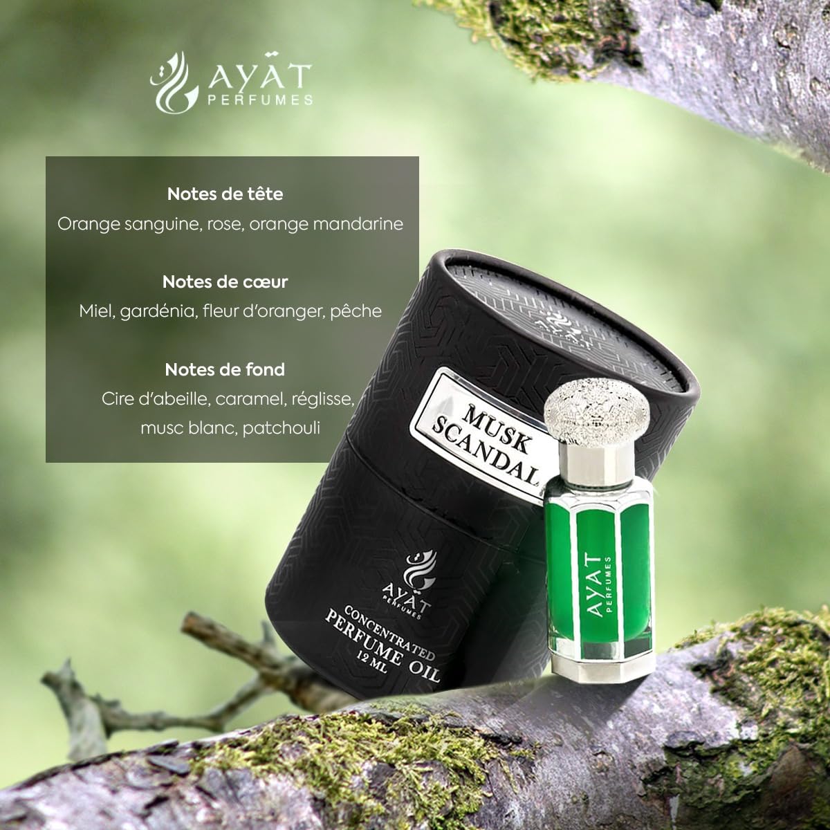 AYAT PERFUMES – Extrait de Parfum 12ml | Jolie Bouteille Dans Une Boîte Élégante | Attar Unisexe Sans Alcool | Huile Parfumée Longue Durée | Senteur Arabian Fabriqué Conçu à Dubaï (Musk Ehsaas)