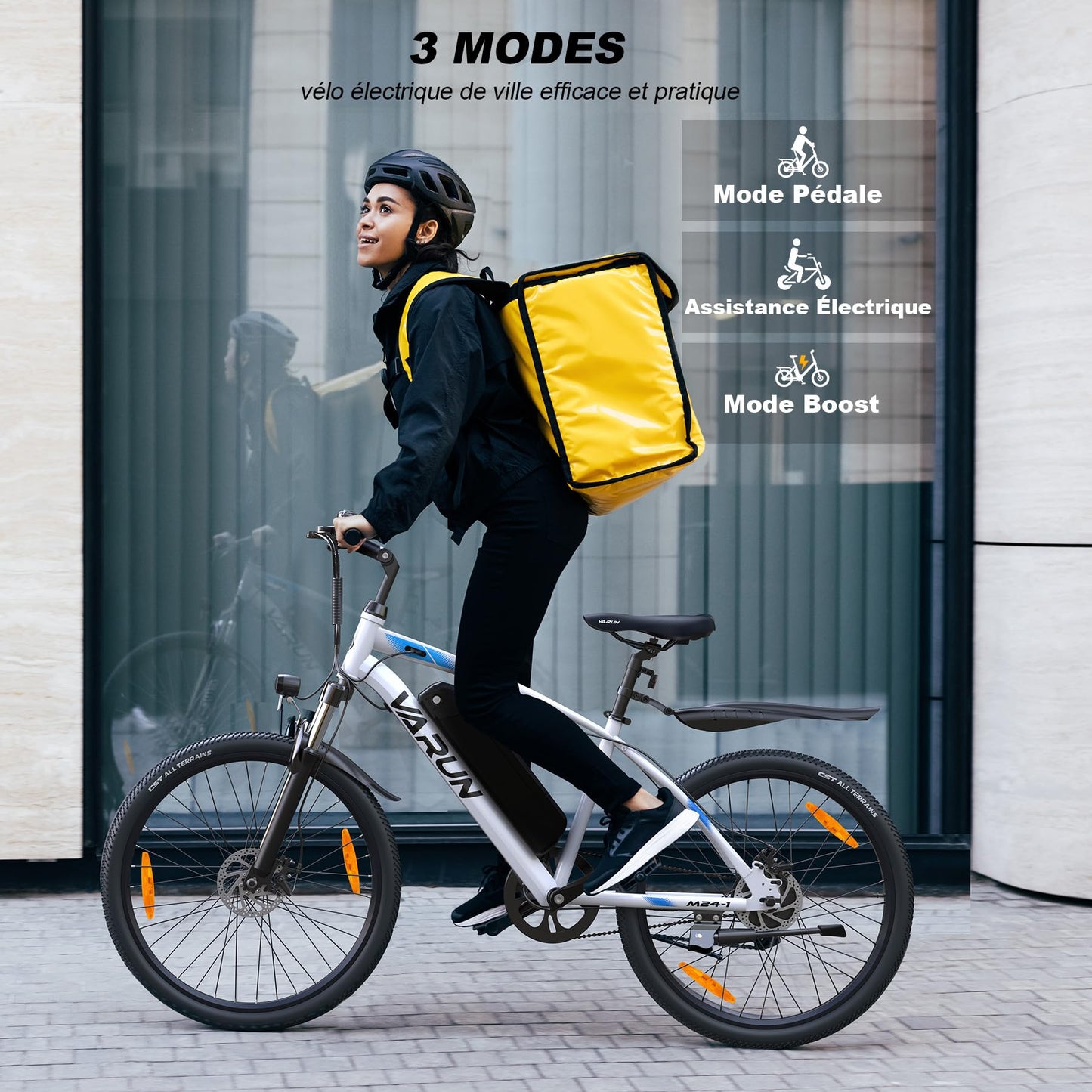 VARUN Velo Electrique, 24"/26"/27.5" VTT Électrique avec 48V/36V Batterie, Jusqu'à 55-100KM, 250W Moteur, Vélo Électrique Homme Femme avec 21/1 Vitesses, Écran LCD, Ville E-Bike avec Pédalage Assisté
