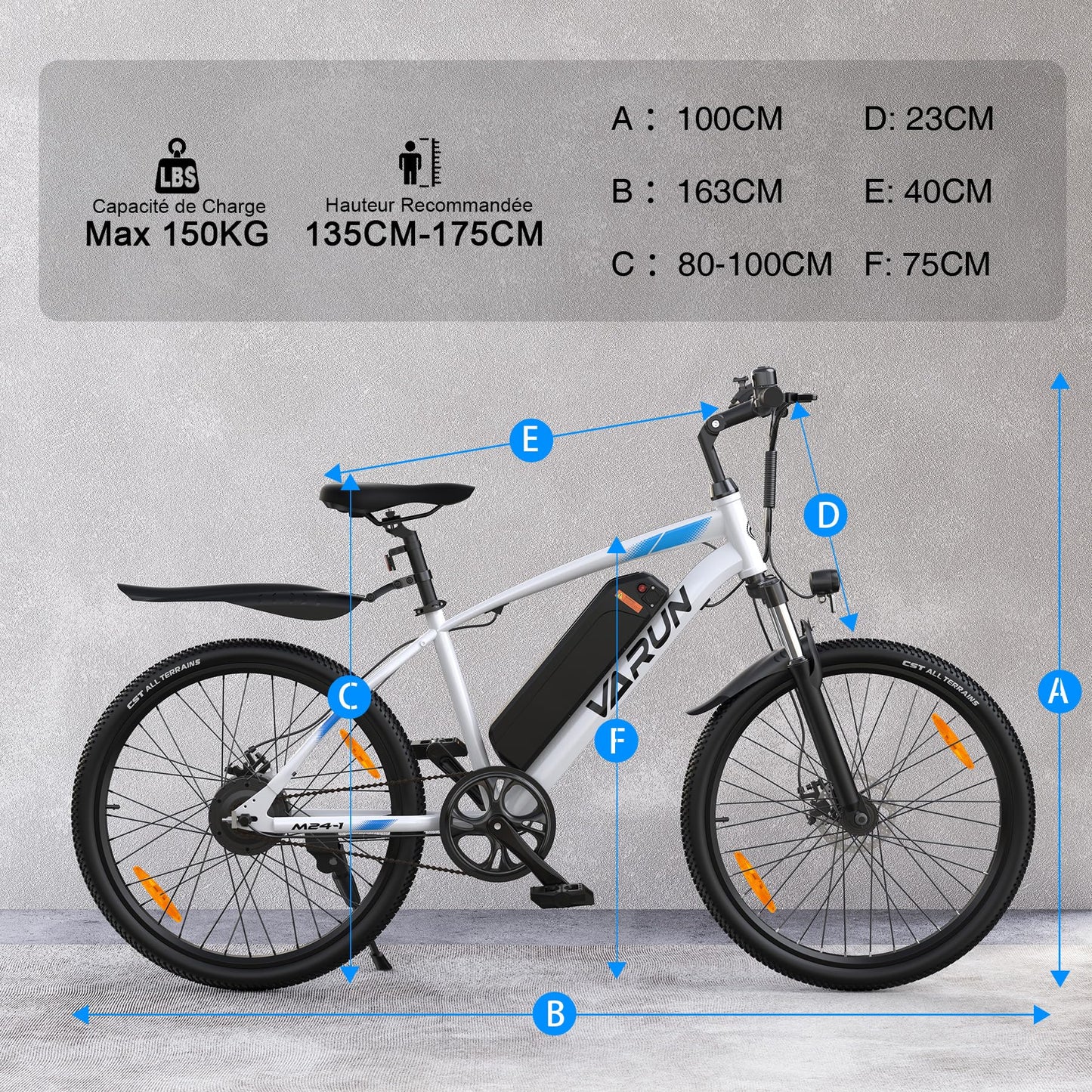 VARUN Velo Electrique, 24"/26"/27.5" VTT Électrique avec 48V/36V Batterie, Jusqu'à 55-100KM, 250W Moteur, Vélo Électrique Homme Femme avec 21/1 Vitesses, Écran LCD, Ville E-Bike avec Pédalage Assisté